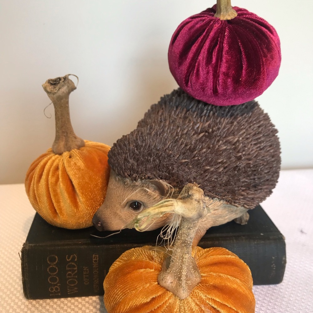 Velvet pumpkins - Picture 2 of 5